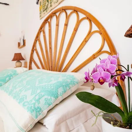 多莫斯德贾纳斯苏马雷酒店 酒店 巴里萨尔多