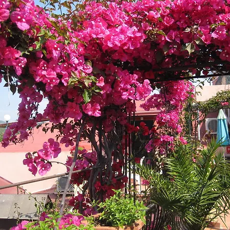 호텔 Domus De Janas Sul Mare 바리사르도