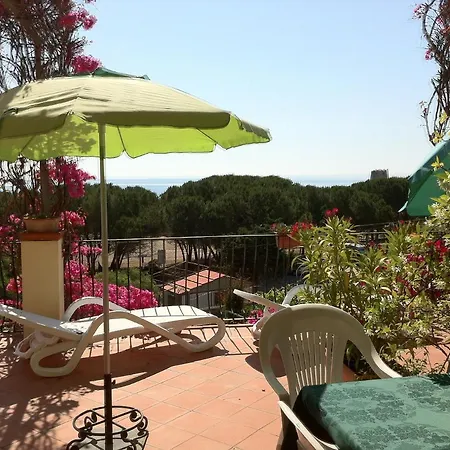 多莫斯德贾纳斯苏马雷酒店