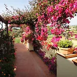 Domus De Janas Sul Mare Hotel 3*