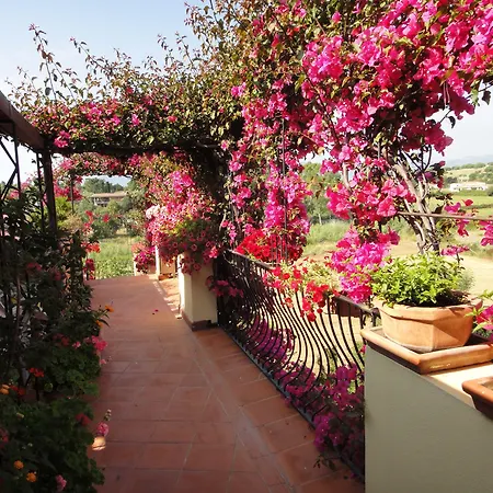Domus De Janas Sul Mare Otel 3*