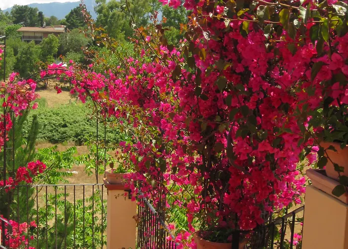 ホテル Domus De Janas Sul Mare バリ・サルド